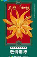 兰香如故1-40集免费